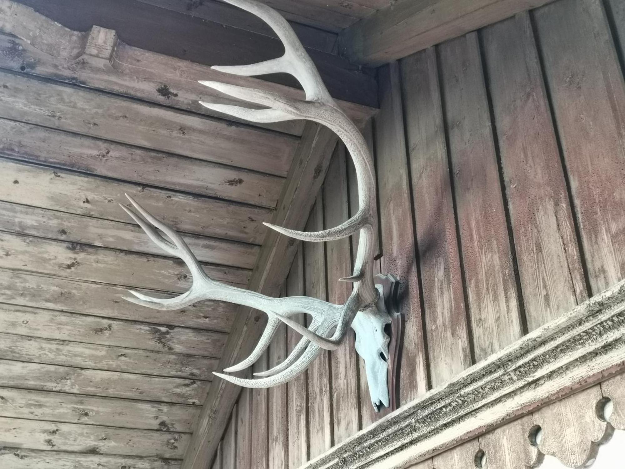 Landhaus Haser Oberammergau Pokoj fotografie